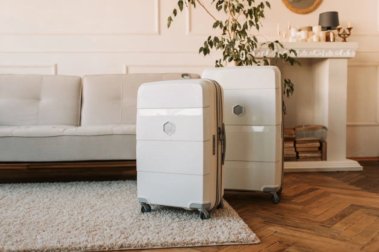 Two suitcases standing together in a room