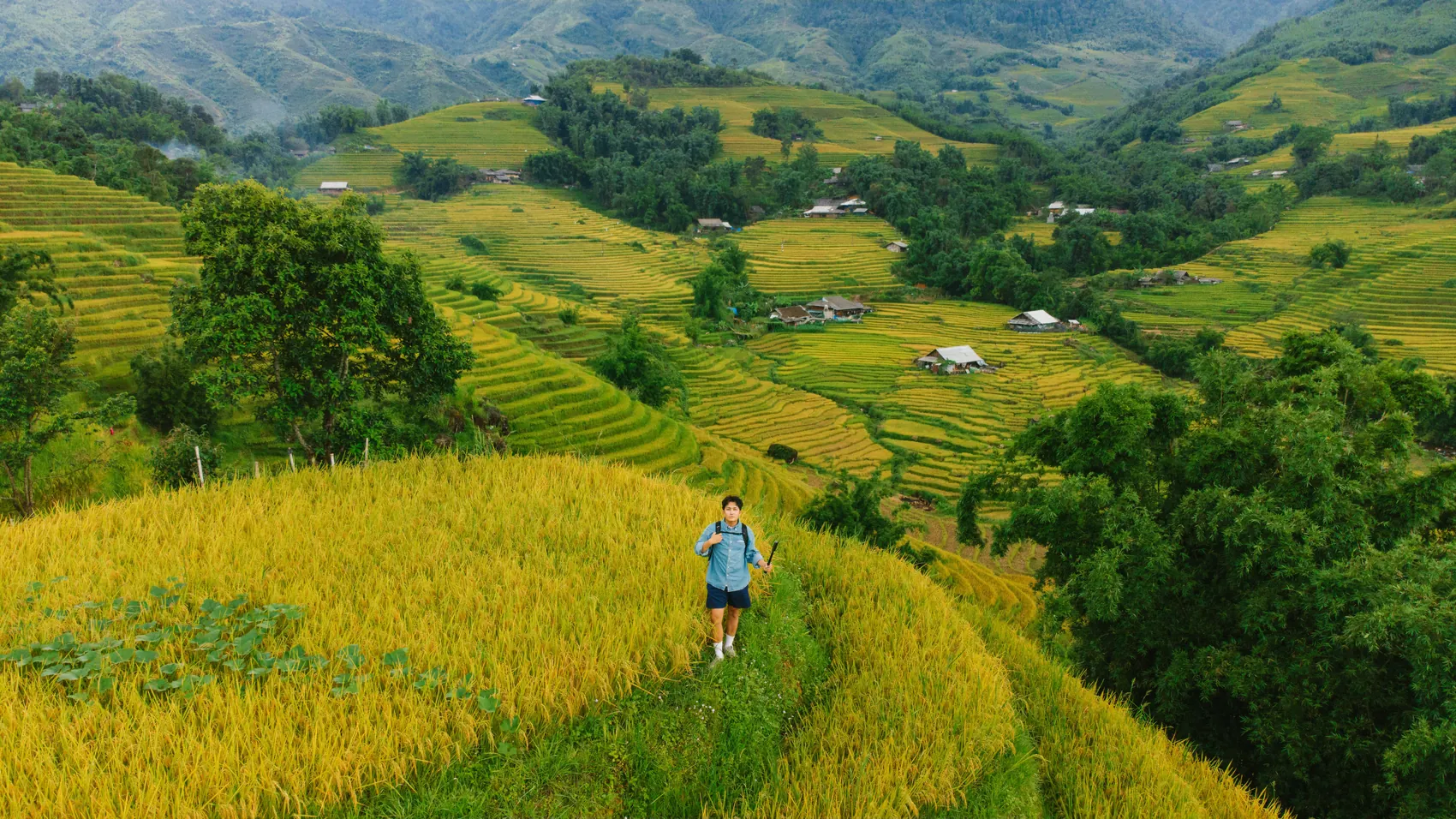 Traveler walking through green rice terraces in Southeast Asia
